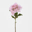 Agapanthus Stem Lilac