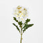 Agapanthus Stem White (Set of 12)