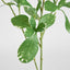 Pittosporum Leaf Spray Variegated 75cm