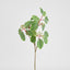 Leaf Seed Spray 80cm Green
