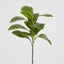 Magnolia Green Leaf Stem