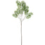 Chamedorea Leaf Spray 160cm Green