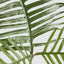 Philodendron Tortum Leaf Spray 81cm (Set of 12)