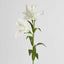 Lily Real Touch 90cm White