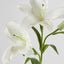 Lily Real Touch 90cm White