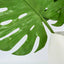 Monstera Spray 1.23m