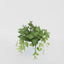 Leaves in White Plastic Pot 35cm