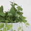 Leaves in White Plastic Pot 35cm