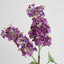 Lilac Spray 72cm