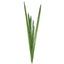 Orchid Leaf Cluster 1.07m Green