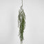 Hanging Leaf Vine 138cm