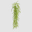 Hanging Leaf Bush 90cm