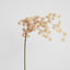 Pom Pom Leaf Branch 1.07m Blush Pink