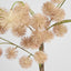 Pom Pom Leaf Branch 1.07m Blush Pink