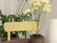 La Zitta Chair - Upholstered Seat by - TON