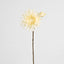 Mum Spray 78cm Cream