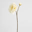 Mum Spray 78cm Cream