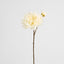 Mum Spray 78cm Cream
