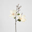 Magnolia Stem 70cm White