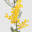 Mimosa Spray Long 1.1m Yellow