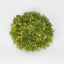 Moss Mat Round SML