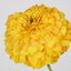 Marigold Spray Yellow