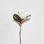 Magnolia Single Head 70cm White