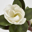 Artificial Magnolia Large 2 Heads 85cm White
