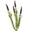 Mint leaf Spray 65cm