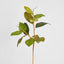 Autumn Magnolia Leaf Spray Stem 70cm - Pack of 12