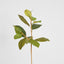 Autumn Magnolia Leaf Spray Stem 70cm - Pack of 12