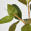 Autumn Magnolia Leaf Spray Stem 70cm - Pack of 12