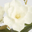 Gloriosa Magnolia Floral Spray White