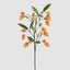 Orange Mango Stem