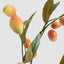 Orange Mango Stem