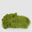 Bagged Moss