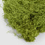 Bagged Moss