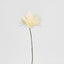 Mum Stem 71cm Cream - Pack of 12