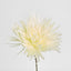 Mum Stem 71cm Cream - Pack of 12