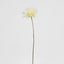 Mum Stem 71cm Cream - Pack of 12
