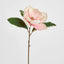Soulangiana Magnolia Stem 60cm Pink - Pack of 12