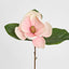 Soulangiana Magnolia Stem 60cm Pink - Pack of 12