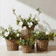 Magnolia Bud Spray 90cm White
