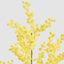Mimosa Spray 78cm (Set of 6)