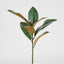Magnolia Real Touch Leaf Spray 56cm