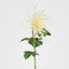 Spider Mum Floral Stem 71cm Cream