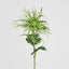 Spider Mum Floral Stem 71cm Green