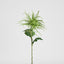 Spider Mum Floral Stem 71cm Green