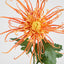 Spider Mum Floral Stem 71cm Orange