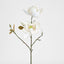 Magnolia Flower Stem With 2 Heads & Bud 87cm White